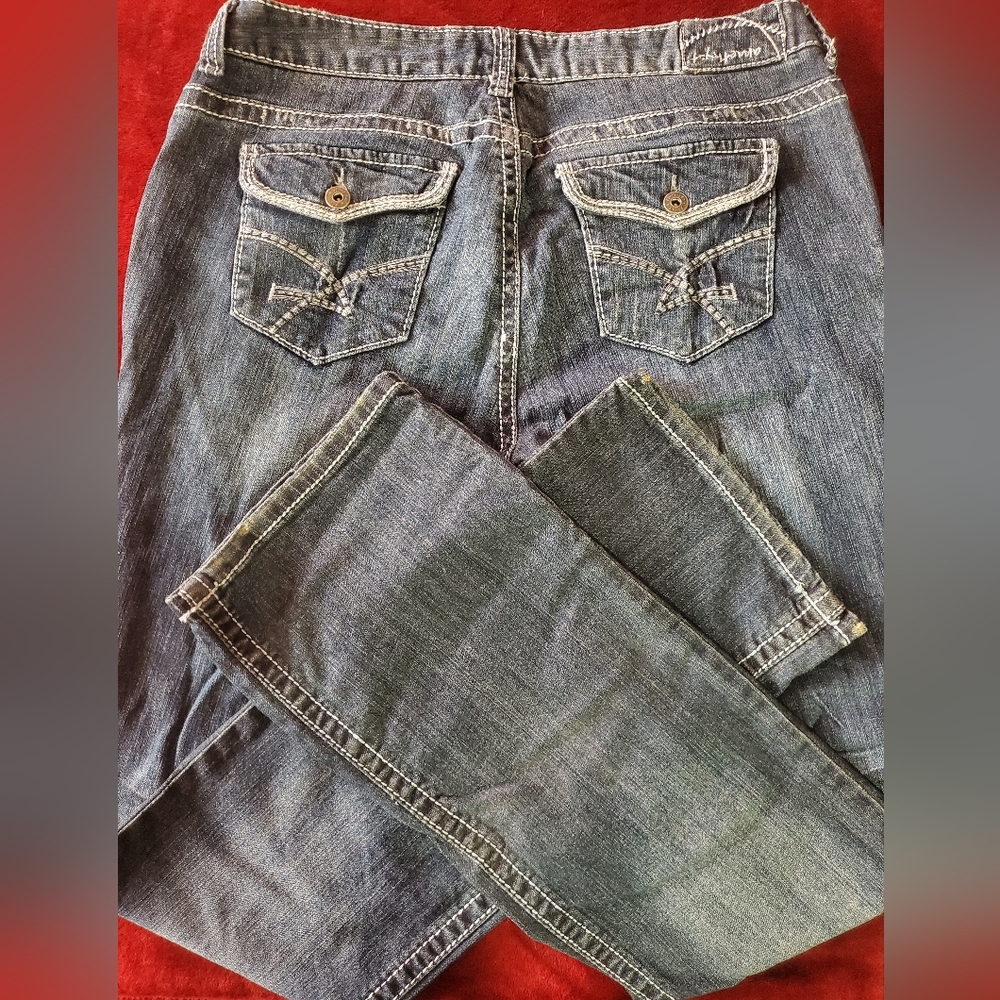 Amethyst Junior-Plus Flare Jeans